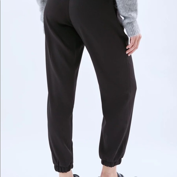 Babaton Forbes Jogger | Aritzia - Picture 4 of 9